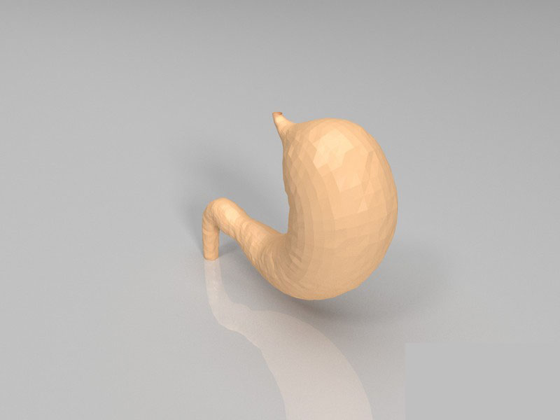 胃3d打印模型 免费下载