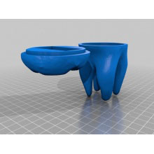 空心牙齿 3d打印模型 免费下载