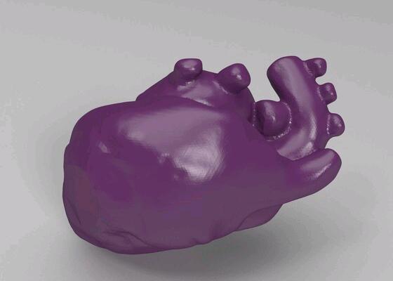 心脏模型3d打印模型 免费下载
