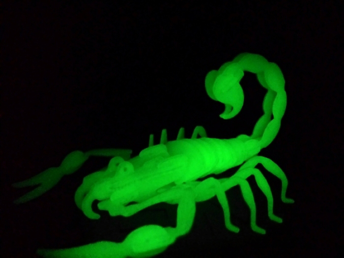 拼装立体蝎子3d打印模型 免费下载