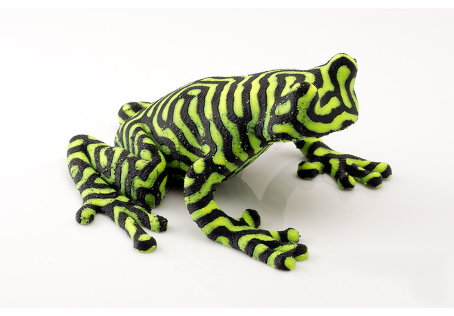 双色树蛙3d打印模型 免费下载