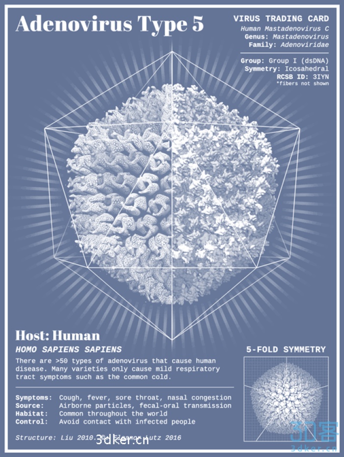 世界上最危险的病毒3d打印模型 免费下载