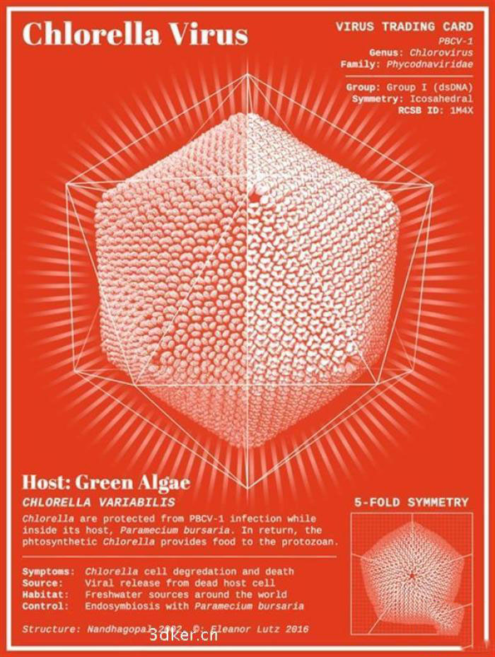 世界上最危险的病毒3d打印模型 免费下载
