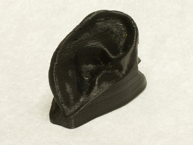 人类耳朵3d打印模型 免费下载